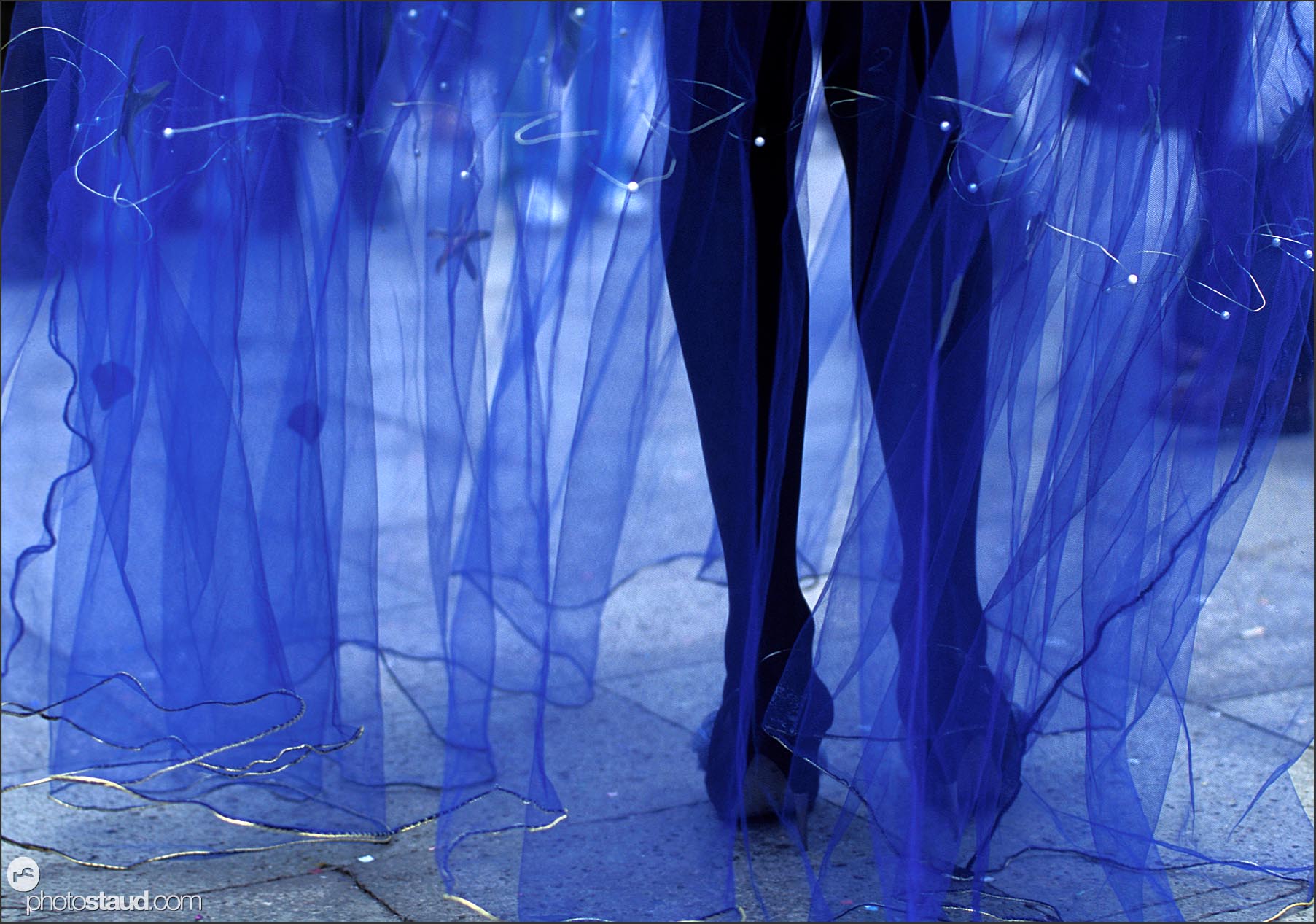 Legs and blue veil, Venice carnival, Italy